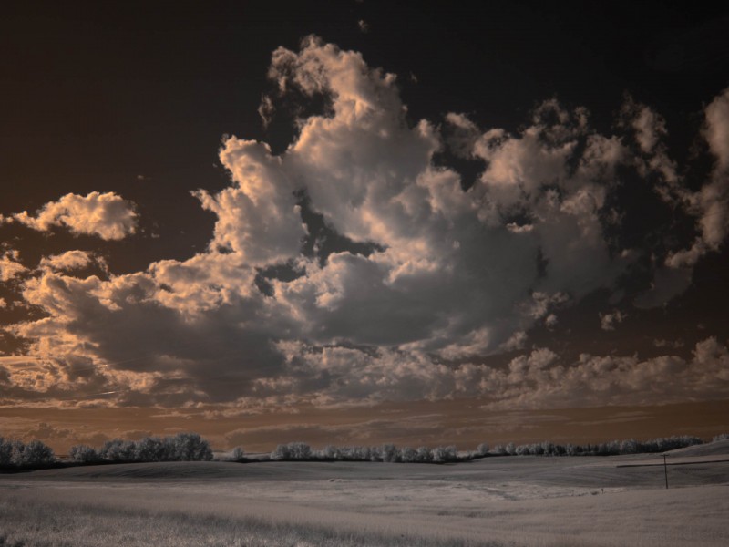 Prairie surreal Infrared photo